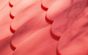 Claudy plastic roof costs